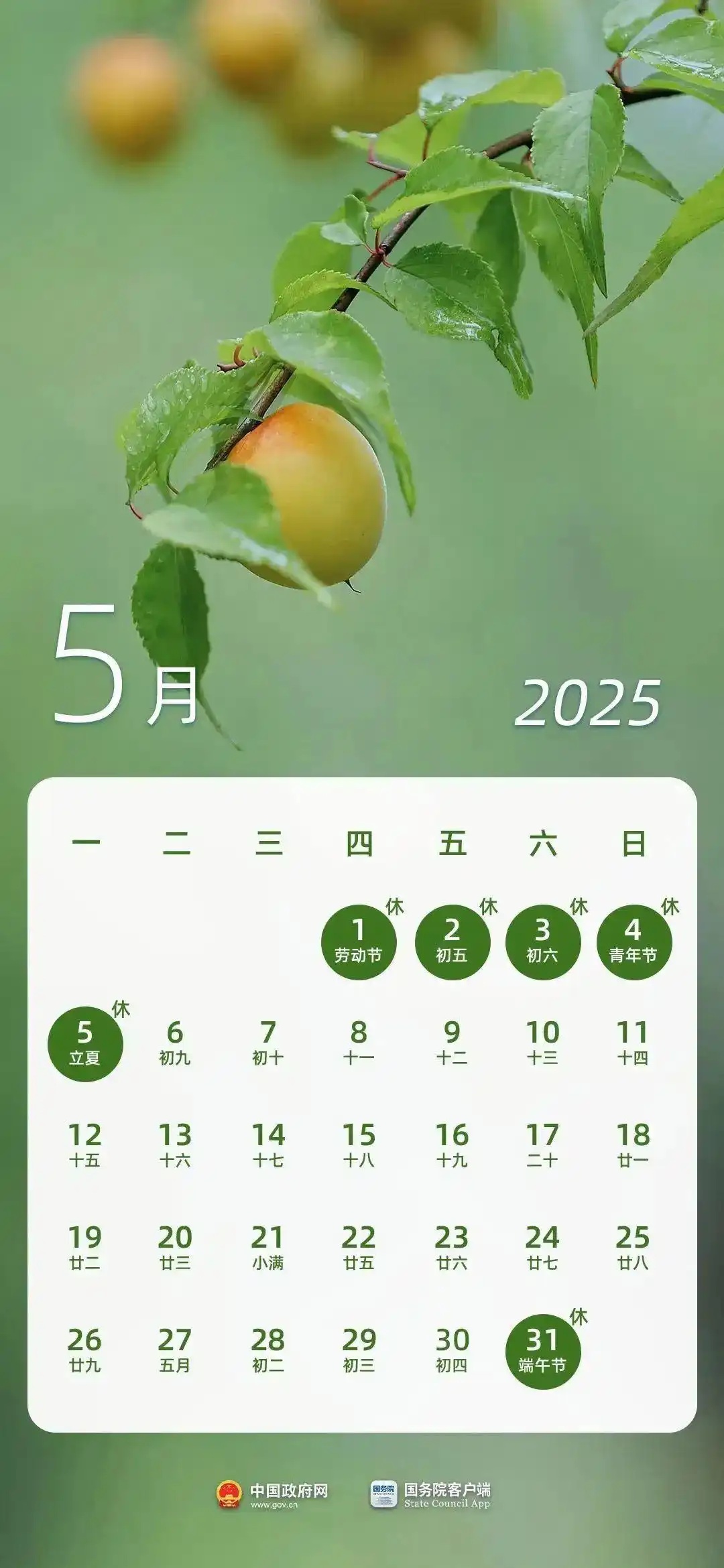 2025年端午節(jié)放假通知